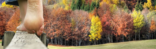 randonnée pieds nus - automne en chartreuse